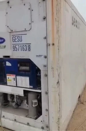 20ft Standard Working Refrigerated Shipping Container (20STRFW) - Image 2