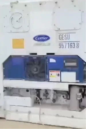 20ft Standard Working Refrigerated Shipping Container (20STRFW) - Image 3