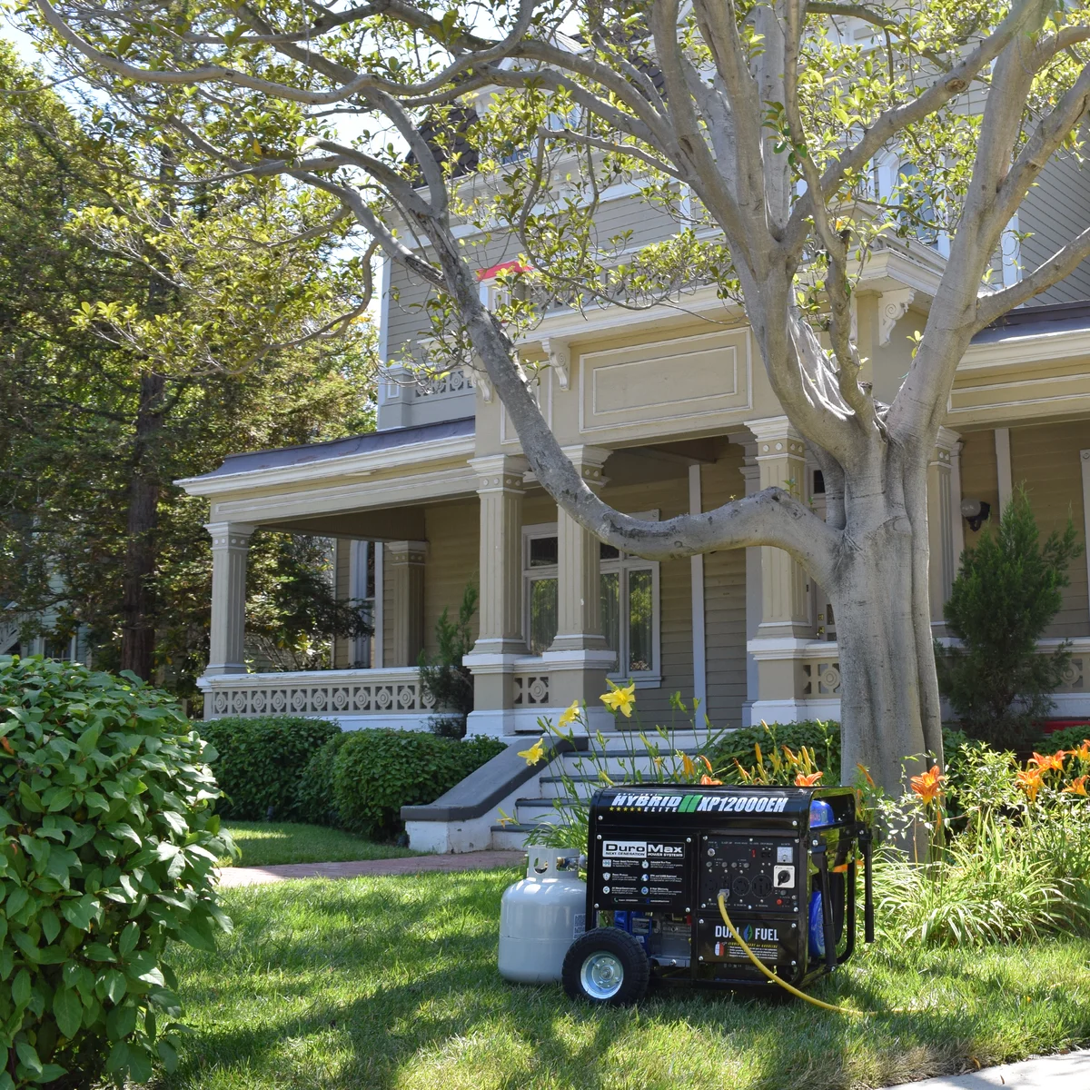 12,000 Watt Dual Fuel Portable Generator - Image 12