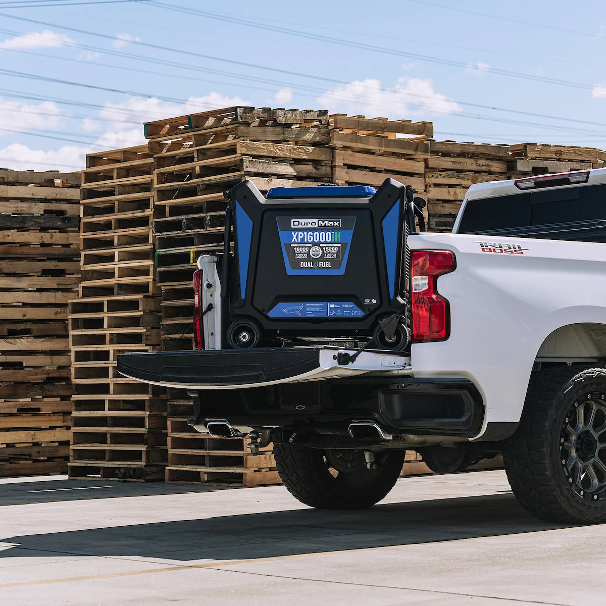 16,000 Watt Portable Dual Fuel Inverter Generator - Quiet, Low THD - Image 15